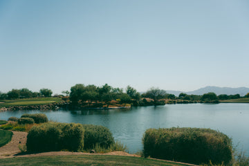 DUEL IN THE DESERT | RECAP